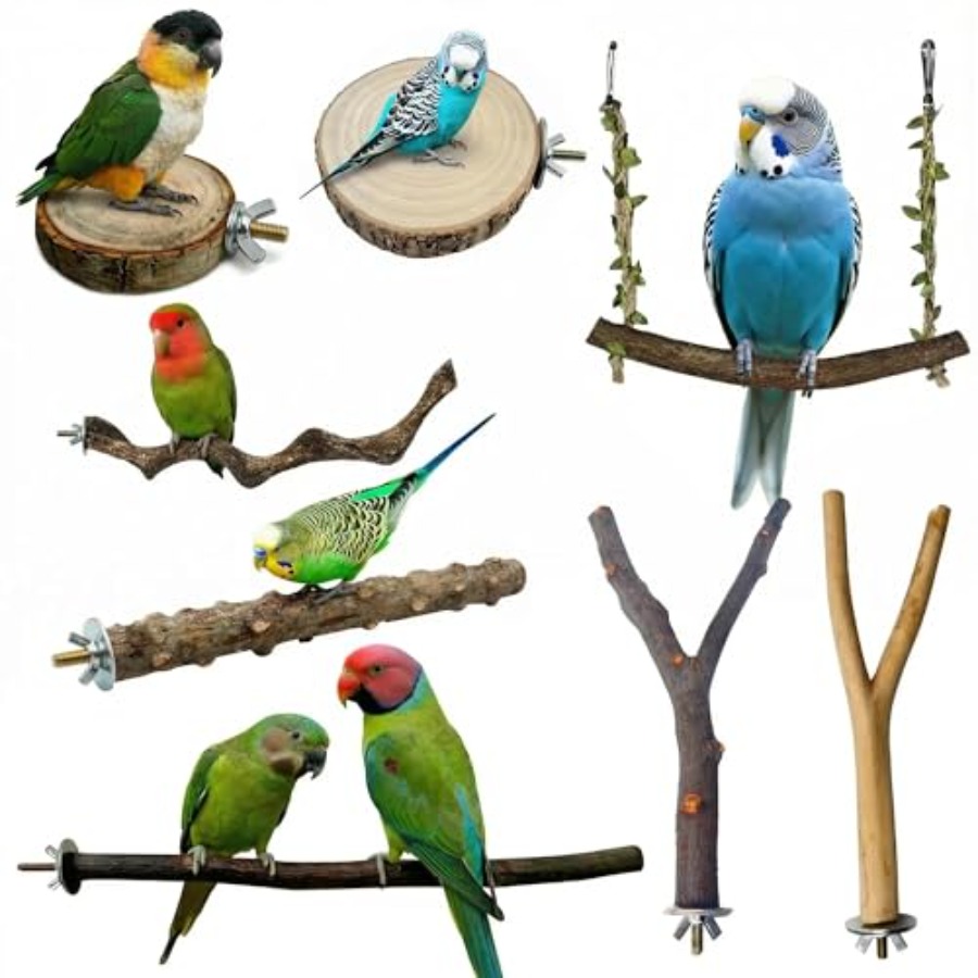 Health & Wellness Newsletter - 8 perchoirs en bois naturel pour
