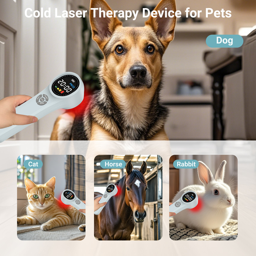 Appareil de thérapie par lumiè - Red Light Therapy Device avis et prix